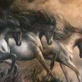 Wild Horses (study)