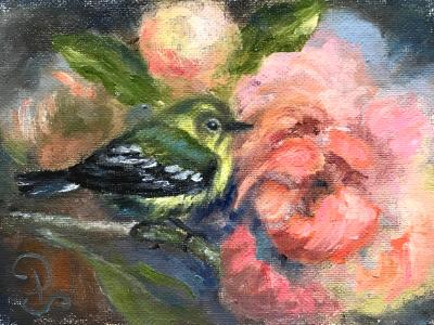 Finch and Peachy Peony Finch and Peachy Peony